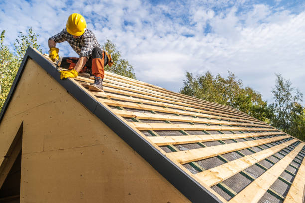 Best Roof Gutter Cleaning  in Mineola, TX